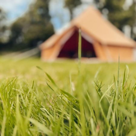 Fully Furnished Bell Tent 1 Сейнт Остел Екстериор снимка